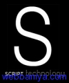 1720875211_script logo (2).jpg